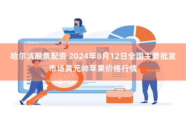 哈尔滨股票配资 2024年8月12日全国主要批发市场黄元帅苹果价格行情