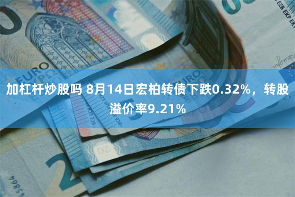 加杠杆炒股吗 8月14日宏柏转债下跌0.32%，转股溢价率9.21%