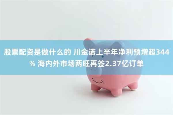 股票配资是做什么的 川金诺上半年净利预增超344% 海内外市场两旺再签2.37亿订单