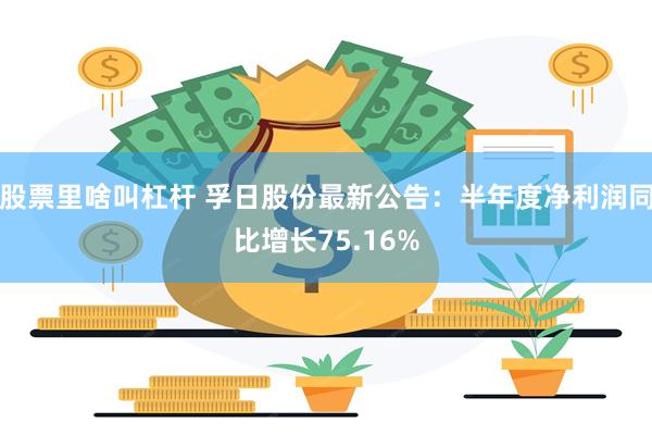 股票里啥叫杠杆 孚日股份最新公告：半年度净利润同比增长75.16%