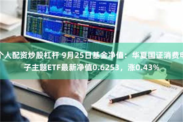 个人配资炒股杠杆 9月25日基金净值：华夏国证消费电子主题ETF最新净值0.6253，涨0.43%