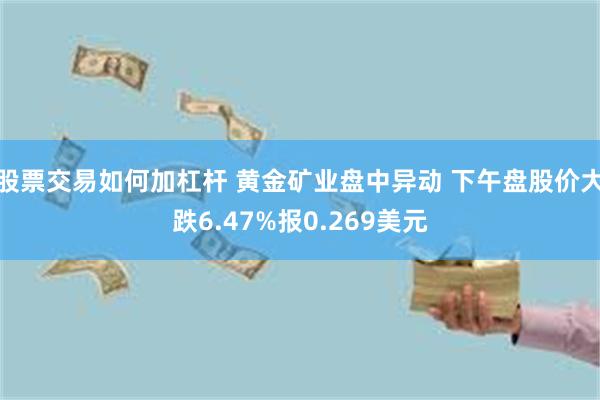 股票交易如何加杠杆 黄金矿业盘中异动 下午盘股价大跌6.47%报0.269美元