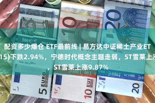 配资多少爆仓 ETF最前线 | 易方达中证稀土产业ETF(159715)下跌2.94%，宁德时代概念主题走弱，ST雪莱上涨9.87%