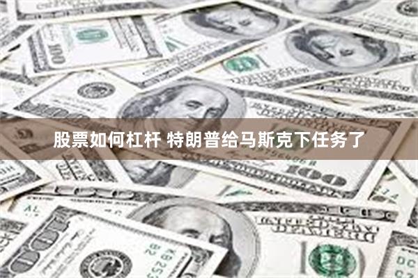 股票如何杠杆 特朗普给马斯克下任务了