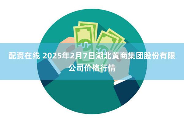 配资在线 2025年2月7日湖北黄商集团股份有限公司价格行情