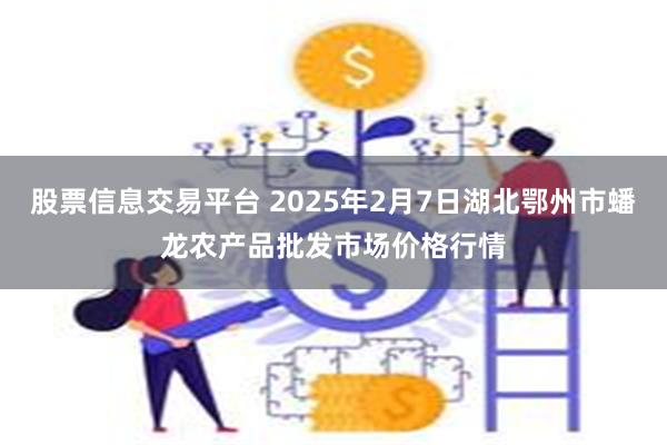 股票信息交易平台 2025年2月7日湖北鄂州市蟠龙农产品批发市场价格行情