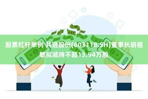 股票杠杆举例 共进股份(603118.SH)董事长胡祖敏拟减持不超13.94万股