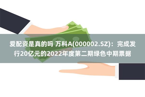 爱配资是真的吗 万科A(000002.SZ)：完成发行20亿元的2022年度第二期绿色中期票据