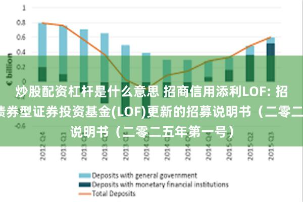 炒股配资杠杆是什么意思 招商信用添利LOF: 招商信用添利债券型证券投资基金(LOF)更新的招募说明书（二零二五年第一号）
